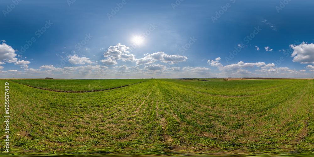 Wall mural spherical 360 hdri panorama among green grass farming field with clouds on blue sky with sun in equi