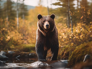 Obraz na płótnie Canvas A Bear in Nature with a Shallow Depth of Field | Generative AI