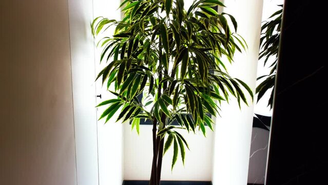 camera close up on artificial flower in hotel lobby
