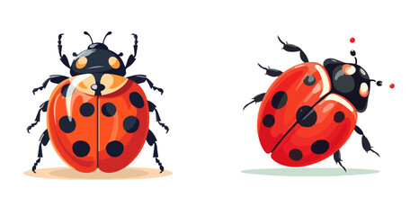 lady bug vector in different style set graphic