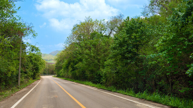 Road goes straight ahead of the asphalt road and the curve at the end in Thailand. Two besie with green forest and under blue sky and white clouds.