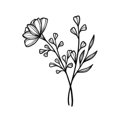 Hand-Drawn Botanical and Floral Designs