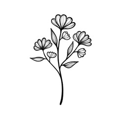 Hand-Drawn Botanical and Floral Designs