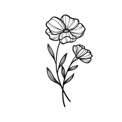 Obraz premium Hand-Drawn Botanical and Floral Designs