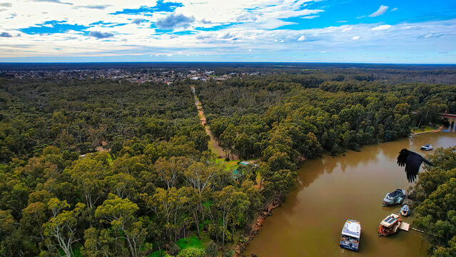 Big black crow attacks a drone over the Murray River at the Port of Echuca