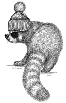 Vintage engraving isolated red panda set  glasses dressed fashion illustration ink costume sketch. Chinese bear background animal silhouette sunglasses hipster hat art. Hand drawn image