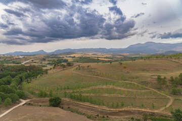landscape of a meadow with poplar trees, mountains in the background and dramatic sky with a path running through the picture