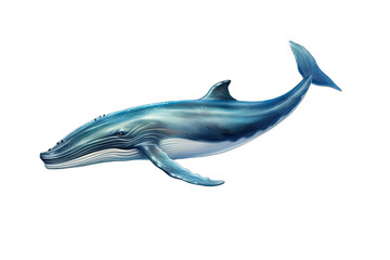 A Blue whale isolated on transparent background - Generative AI