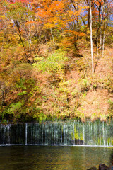 Shiraito Waterfall of wide angle in Karuizawa town, Nagano prefecture, Chubu, Japan.