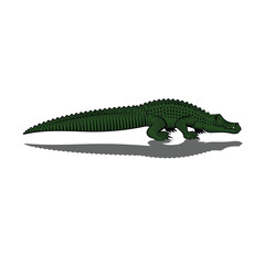 Crocodile isolated on a white background. Vector illustration.