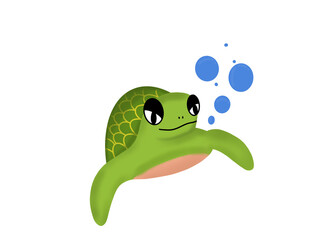 green sea turtle cartoon aquatic animal marine life cute animal on white background.