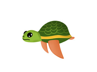 green sea turtle cartoon aquatic animal marine life cute animal on white background.