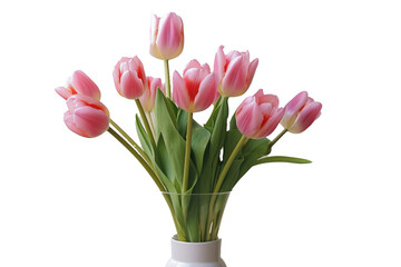 Pink tulip flowers in vase isolated on white background. generative AI