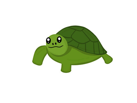 Green sea turtle cartoon is a cute aquatic animal, walking. It is an amphibian in nature.
on a white background.