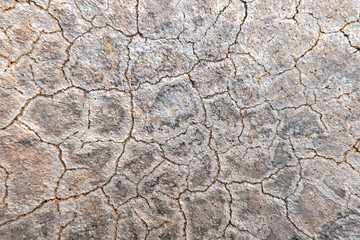 Dirty old cracked floor texture background.  Rough and grunge texture background. 