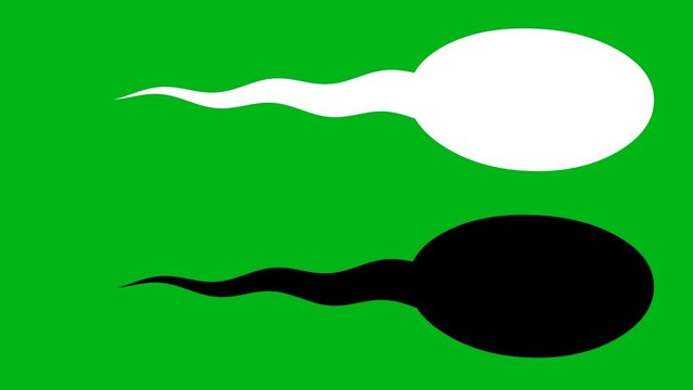 Moving sperms motion graphics with green screen background