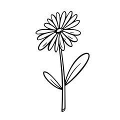 A black and white contour vector illustration of a daisy flower, capturing the delicate beauty and simplicity of nature in its monochromatic elegance.