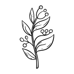 Hand drawn outline sketch branch flower