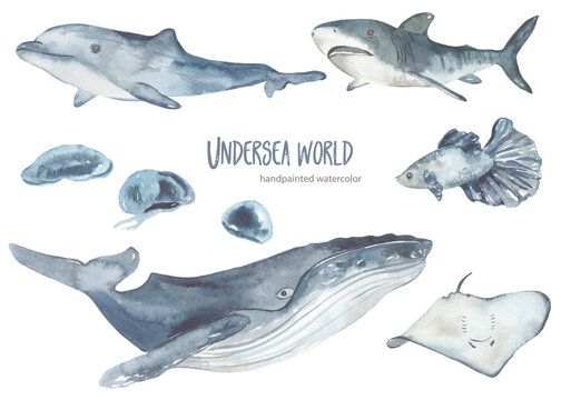 Watercolor set with underwater creatures whale, shark, dolphin, stingray, jellyfish for cards, invitations