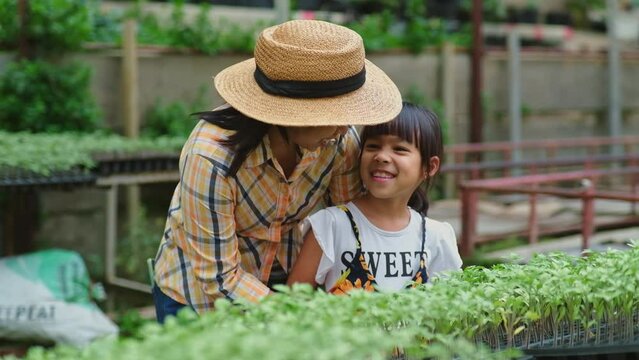 Cute little girl helps her mother take care of tomato saplings in the organic farm. Mother teaching her daughter how to grow plants in a greenhouse. Family small business.