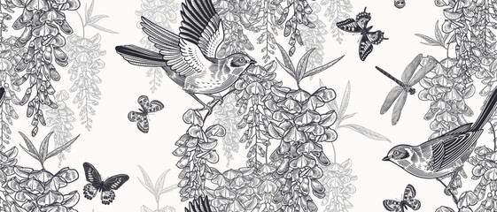 Wisteria liana, birds, butterflies and dragonfly. Floral seamless pattern. Vector Vintage