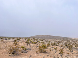 Red Rock Canyon National Conservation Area