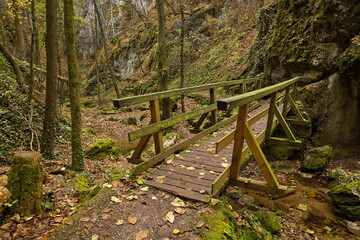 Hiking track in Johannesbachklamm between Würflach und Greith, Lower Austria, Austria, Europe,...
