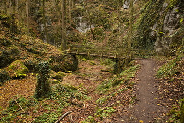 Hiking track in Johannesbachklamm between Würflach und Greith, Lower Austria, Austria, Europe,...