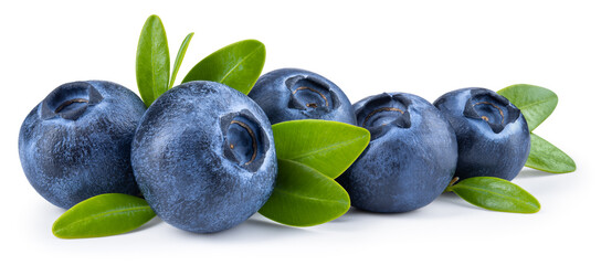 Blueberry isolated. Blueberry with leaves on white background. Group of perfect retouched blueberries with clipping path. Full depth of field. Horizontal design.
