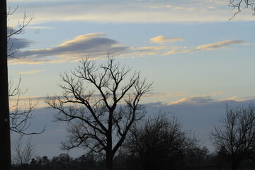 sunset in the woods with sky and clouds