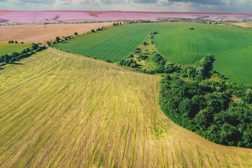Aerial view of a field of cultivated soybeans and wheat on the hills in summer. Rural landscape