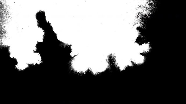 Ink splatter brush stroke transition abstract ink brush slow motion blot, splat, fluid art, overlay, watercolor matte composition, spreading brush stroke ink transition splatter composting animation