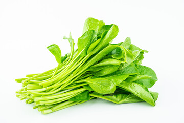 A handful of fresh organic vegetable young cabbage sprouts on a white background