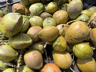 Background image of young and fresh green coconut under the sunlight