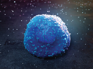 Lymphocyte, illustration