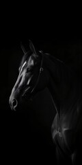 black horse isolated on black background, generative ai