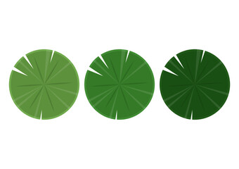 Lily pad icon. Lily cartoon vector on white background. © Supakorn