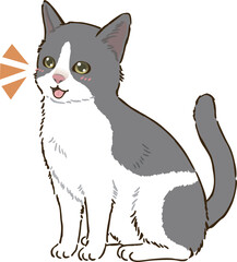 喜ぶ猫（バイカラー）