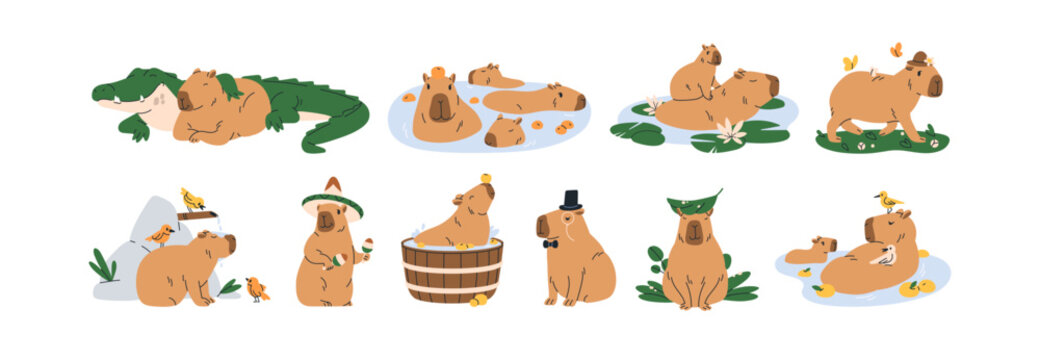 Cute capybaras set. Funny amusing capibara characters swimming in water, bathing, walking, relaxing, playing. Adorable nice animal. Childish flat vector illustrations isolated on white background