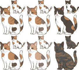 色々な毛色の三毛猫