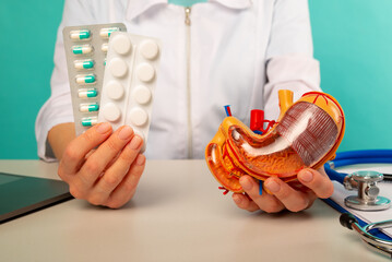 Doctor holding anatomical stomach model and pillls in his office