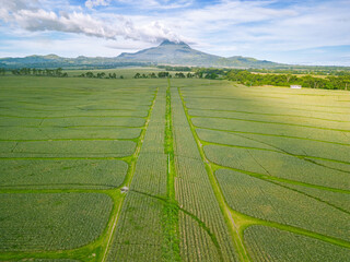 drone shot of Mount Matutum, an active stratovolcano located in the province of South Cotabato, Mindanao, Philippines.