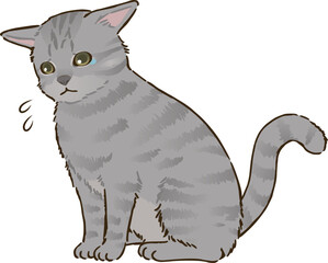 悲しむ猫（サバトラ、短毛）