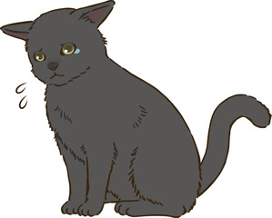 悲しむ黒猫（短毛）