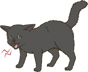 怒る黒猫（短毛）