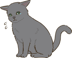 悲しむロシアンブルー