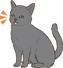 喜ぶロシアンブルー