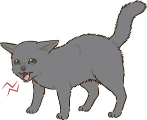 怒るロシアンブルー