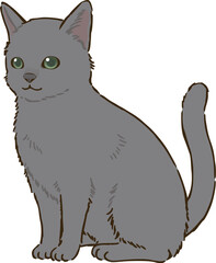 お座りするロシアンブルー