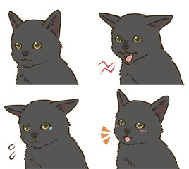 黒猫の喜怒哀楽セット（短毛）